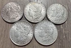 Collection of (5) AU/BU Pre-21 Morgan Silver Dollars, All Different Dates