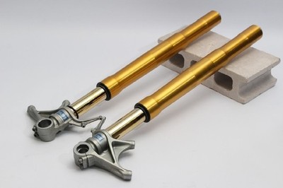 Ducati 1199 Panigale S Ohlins FG9251 Front Fork Suspension Set Used