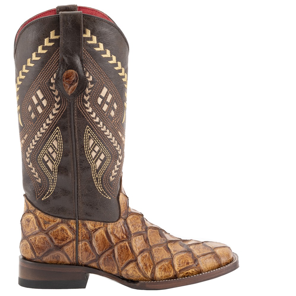 Ferrini Bronco Pirarucu         ,