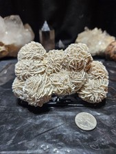 Esemplare di rosa del deserto di selenite forma naturale (13 oz) #2