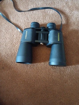 Bushnell