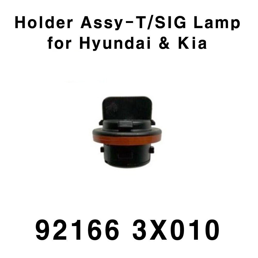 921663X010 HOLDER ASSY-FRONT Turn Signal LAMP - Hyundai