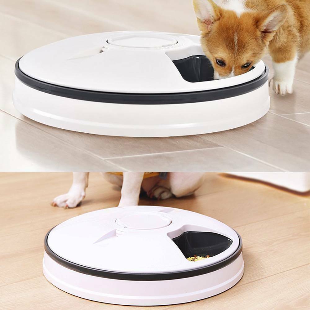 Automatic Pet Feeder 6 Dispenser with Digital Timer Dry Cat Food