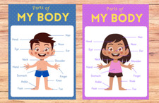 BODY PARTS posters, pack of 2.Educational learning CHILDMINDER/EYFS/ PRESCHOOL.