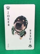 Shiba JOKER THE DOG Playing card  Artlist Collection Japan