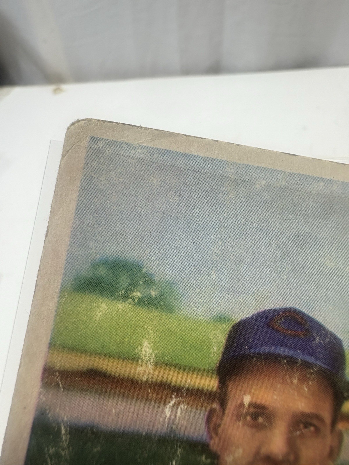 Picture 4