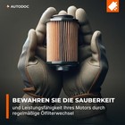 Bild 8 von 12