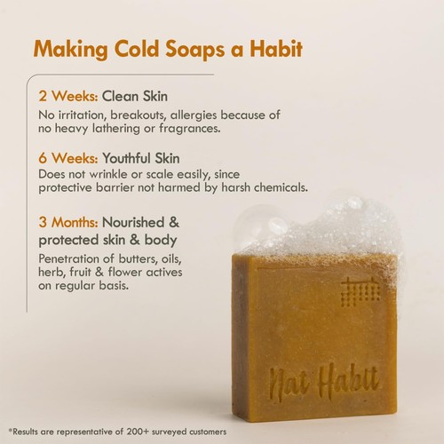 Nat Habit Soap Pack of 2 - 125ml - Mango, Kokum, Charcoal - Brightens & Heals - Picture 32 of 48