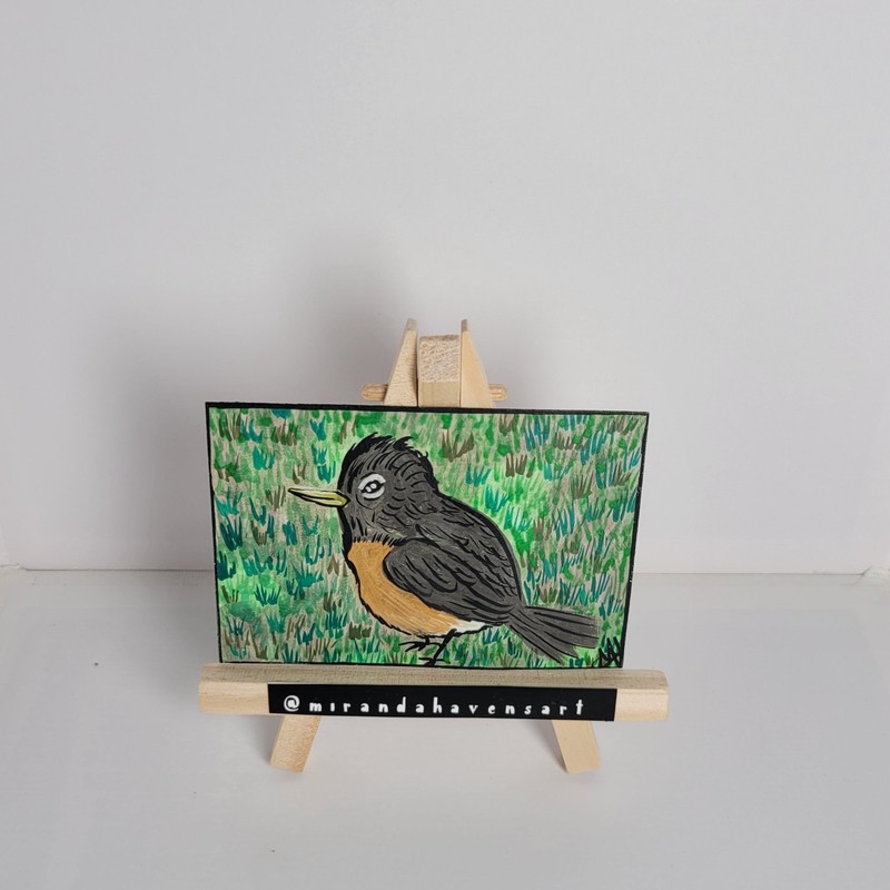 ACEO Original MirandaHavensArt, Robin Bird, Water Color Painting Signed