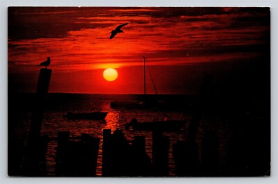 Sunset at Cape Cod Massachusetts Boat Dock Vintage MA Postcard