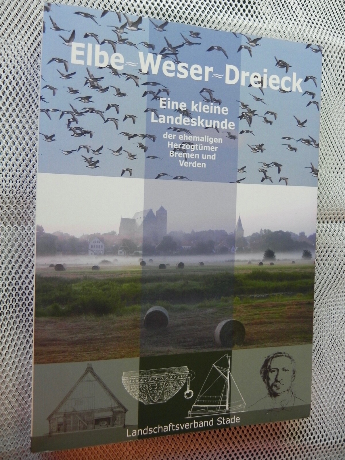 Bild 1 von 12