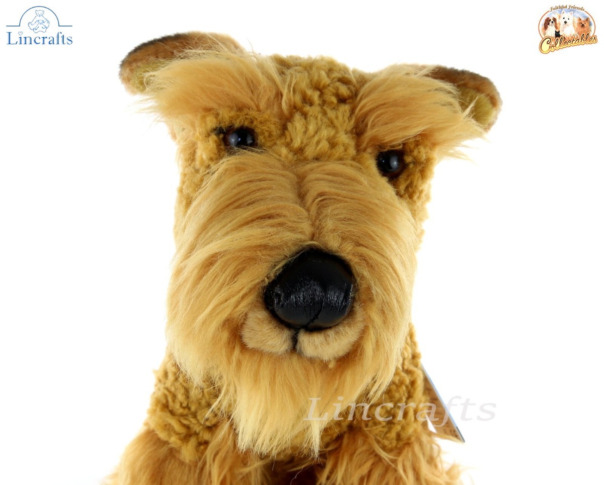 Welsh Terrier Airedale Terrier Intelligence Ranking Airedale