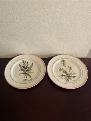 Set of 2 Primula Italian Botanical 8 1/2'' Salad Plates Veraniva & Diplotaxis