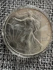 1999 1 oz Silver American Eagle (Brilliant Uncirculated)