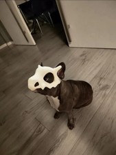 Pet Cat Dog Pokemon Cubone Face Mask Cosplay Any Colour