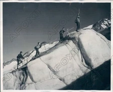 1946 Spillimacheen Canadian Rockies Hikers on the Bugaboo Glacier Press Photo