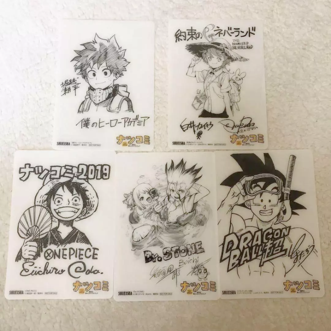 One Piece x Boichi : r/OnePiece