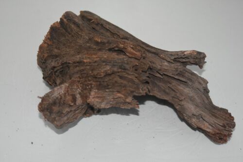 Real Structured Half Open Aquarium Bog Wood SHOBWC Suitable For Fish Aquariums - Picture 2 of 3