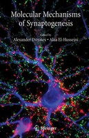 Alexander Dityatev (U. A.) | Molecular Mechanisms Of Synaptogenesis | Buch