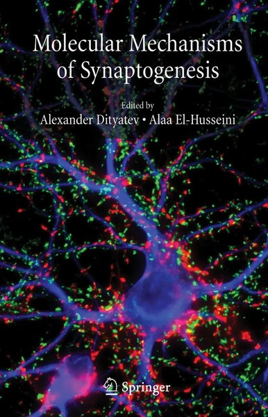 Alexander Dityatev (U. A.) | Molecular Mechanisms Of Synaptogenesis | Buch-image
