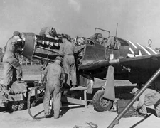 North American P-51 Mustang World War II WWII WW2 8x10 Photo 424c