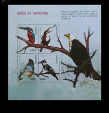 Grenouilles africaines tanzaniennes 2015 grenouilles yeux rouges feuille mini...