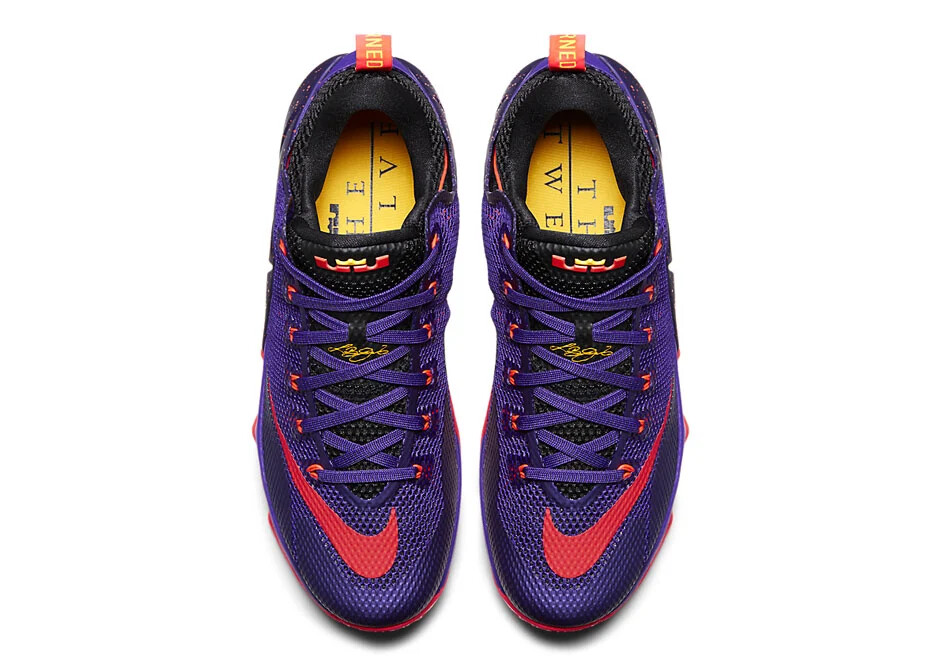 Nike Lebron XII 12 Low Court Purple 724557 565 Basketball