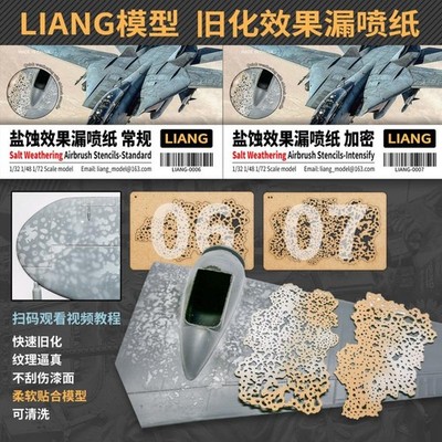 1/35 1/48 1/72 Standard/Intensify Salt Weathering Effect Airbrush Stencil Tools