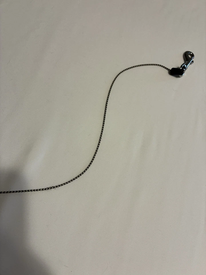 Correa Flexi para perro Foto 4 de 4