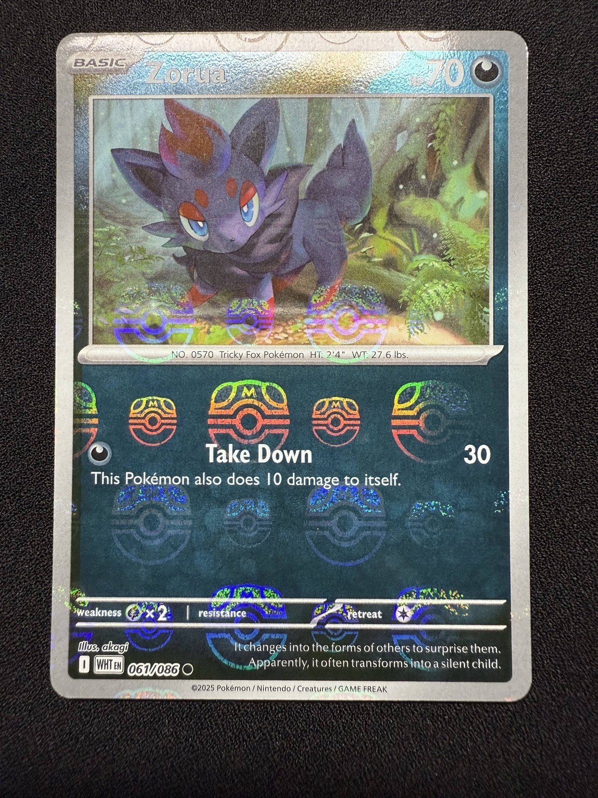 Zorua (Master Ball Pattern) Common SV: White Flare 061/086 NM