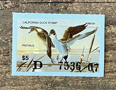 1019738_2