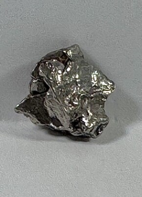  Unique Campo Del Cielo Meteorite 2-3g Real Space Rock! 4.6 BILLION YRS OLD!(H)