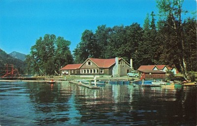 Maple Grove Resort Port Angeles Washington Vintage Postcard