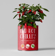 Red Hot Chilli's. Eco Grow Your Chilli Plant, Gardening Kit - Unique Gift Idea