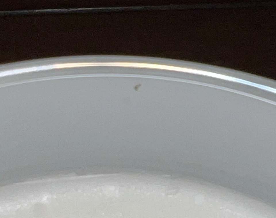 Snowman Candle Primal Elements Icon Snowy Scented Frosty Citrus & Lily USA Made - Image 4 of 4