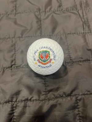 1999 81st PGA Championship at Medinah logo golf ball - Tiger Woods Wins 