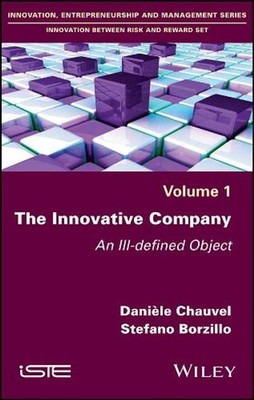The Innovative Company: An Ill-defined Object by Stefano Borzillo (English) Hard