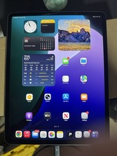ipad pro 12.9 3rd gen 256gb
