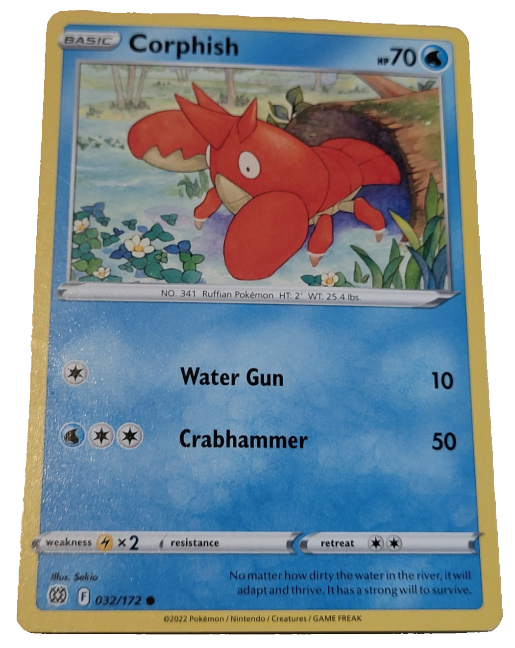 Corphish 032/172 Common Pokemon Trading Card TCG (A0