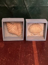 3D Resin Sea Shell Blocks Wall Decor Art Coastal Beach Ocean Set Of 2 Nautical