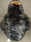 Foto 11 di 12