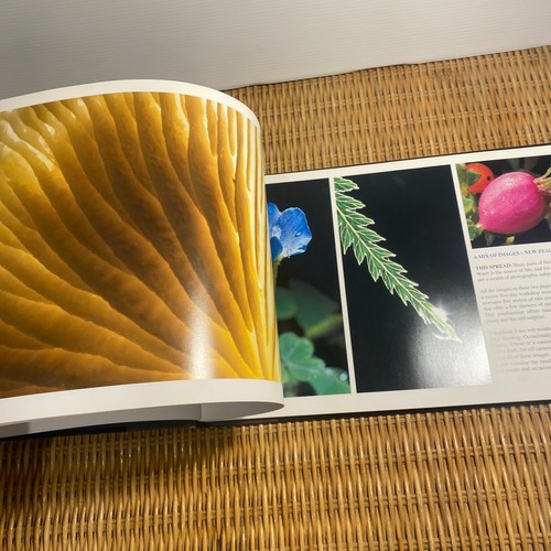 Darran Leal Capturing The World Great Southern Lands SIGNED 1st Ed 2005 HC - Picture 17 of 21