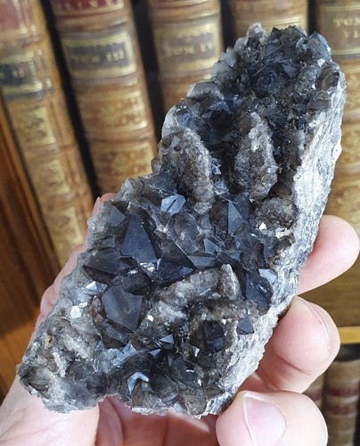 Quartz morion, Entraygues-sur-Truyère, Rodez, Aveyron (12), Occitanie, France - Picture 5 of 5