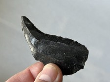 NICE PALEO CRESCENT KNIFE FOUND IN BLACK ROCK DESERT NEVADA, ARROWHEAD CLOVIS
