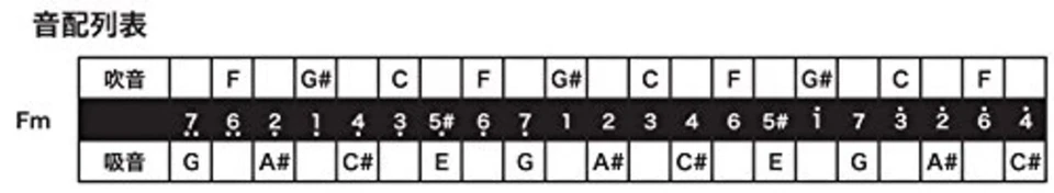 TOMBO polyphonic harmonica Fm control premium 21 hole 3521 F/S w/Tracking# - Image 4 of 4