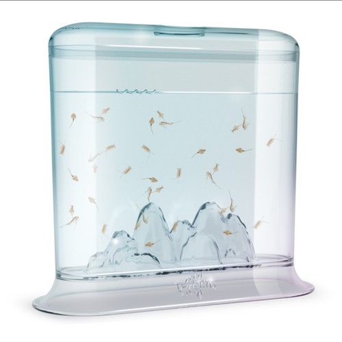 Aqua Dragons - Recharges et kits Jurassic Under Water Sea Monkeys Triops - Photo 12/18