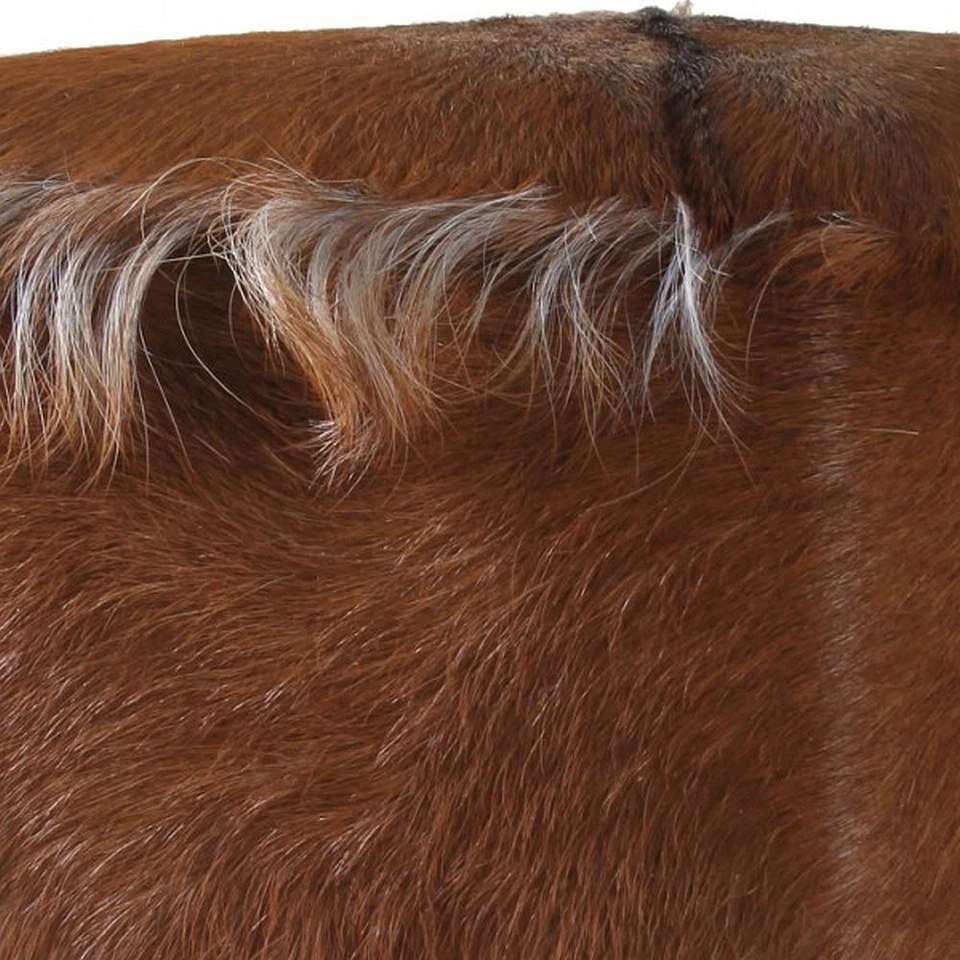 Hocker aus Teakholz und Ziegenfell 30 x 42 cm Sitz-Hocker Schemel wohnfreuden - Bild 2 von 3