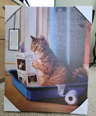 Kitty Throne by Lucia Heffernan Cat reading newspaper in litter