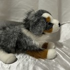 Douglas Sinclair Australian Shepherd Dog #2019 Plush 16" Realistic - Nice! — photo 6