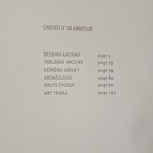 PIASA Cabinet d'un amateur Auction Art Catalog French 2010 Booklet Illus. — photo 4